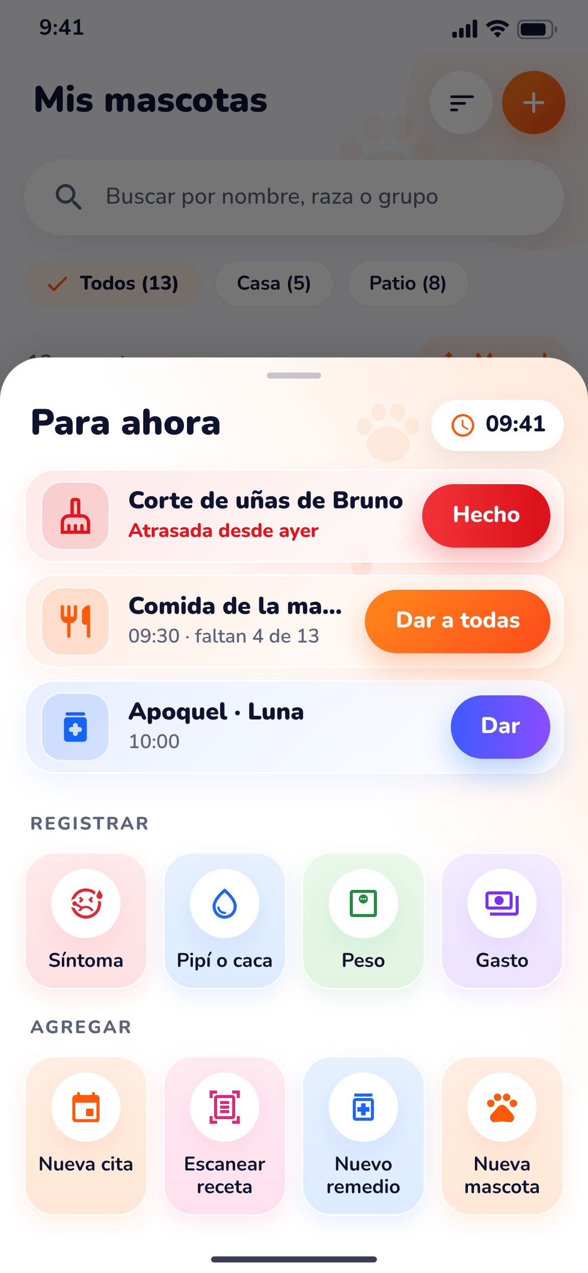 Captura de BamPet: Para ahora